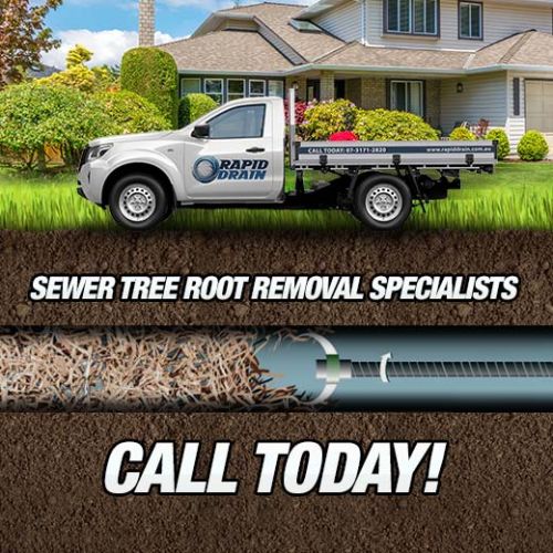 Sewer Tree Root Removal Specialists In Munruben
